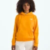 Chlapecká a dívčí mikina Evolution Simple Dome Pullover Hoodie Chlapecká a dívčí mikina Evolution Simple Dome Pullover Hoodie