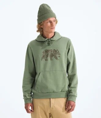 Pánská mikina Evolution TNF™ Bear Hoodie – grafika