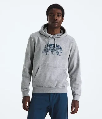 Pánská mikina Evolution TNF™ Bear Hoodie – grafika