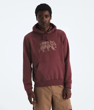 Pánská mikina Evolution TNF™ Bear Hoodie – grafika