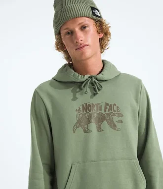 Pánská mikina Evolution TNF™ Bear Hoodie – grafika