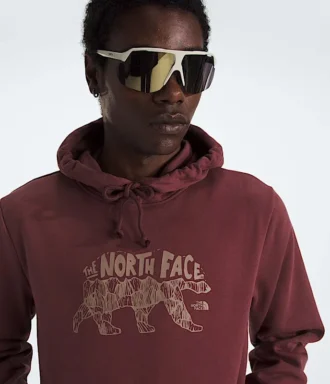 Pánská mikina Evolution TNF™ Bear Hoodie – grafika