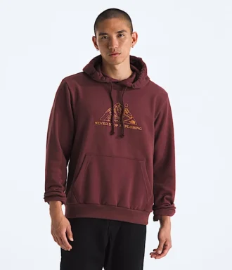 Pánská mikina Evolution TNF™ MTN Hoodie – grafika