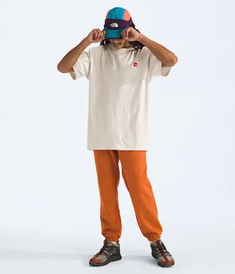 Pánské tričko s krátkým rukávem TNF Red Box Kilimanjaro Heavyweight Tee Pánské tričko s krátkým rukávem TNF Red Box Kilimanjaro Heavyweight Tee
